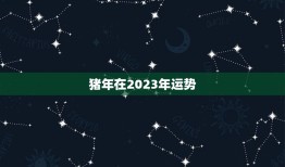 猪年在2023年运势(财运亨通事业顺利幸福美满)