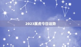 2023属虎今日运势(好运连连事业顺利财运亨通)