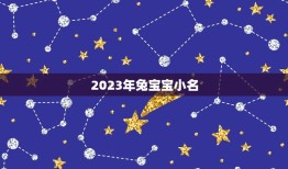 2023年兔宝宝小名(猜测可爱、温柔、善良的代表)