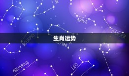 生辰八字今年运势算命(2023年运势大介绍)