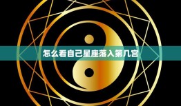 怎么看自己星座落入第几宫(轻松掌握星盘解读技巧)