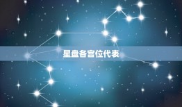 星盘各宫位代表(你的人生宫殿)