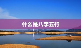 八字五行测试免费算命(介绍你的命运奥秘)