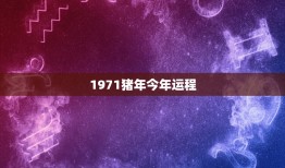 1971猪年今年运程(猪年运势大介绍财运旺盛事业顺利)