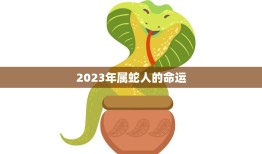 2023年属蛇人的命运(展望机遇与挑战并存)