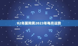 82年属狗男2023年每月运势(全年大起大落)