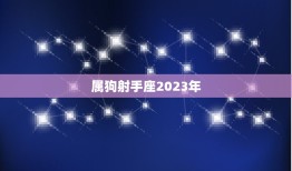 属狗射手座2023年(运势大介绍)