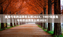 属兔今年的运势怎么样2023，1987年属兔今年的运势怎么样2023