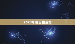 2023年各日柱运势(探寻未来把握机遇)