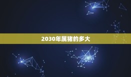 2030年属猪的多大(猪年宝宝计划)