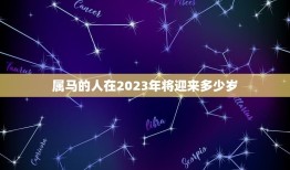 属马2023年多少岁(马儿飞腾岁月如梭)