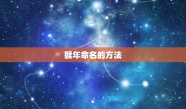 2016年猴宝宝名字(猴年喜迎新生命命名大讲究)