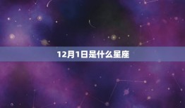 12月1日是什么星座(探寻12月1日出生人的星座秘密)