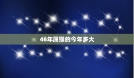 46年属猴的今年多大(猴年大吉猴宝宝迎来75岁生日)