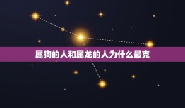 属狗的和什么属相最克(克星是谁)