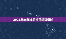 86年的虎今年的姻缘(2023年的桃花运如何)