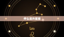 上升星座一键查询小程序(快速掌握你的升星座)