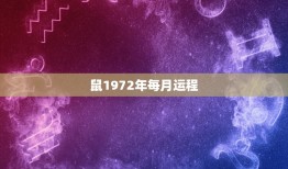 鼠1972年每月运程(2023年鼠宝宝运势详解)