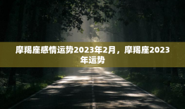 摩羯座感情运势2023年2月，摩羯座2023年运势