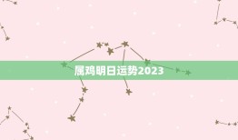 属鸡明日运势2023(好运连连财源滚滚)