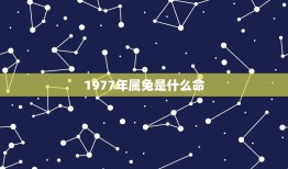 1977年属兔是什么命(详解属兔人的性格和命运)