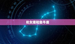 处女座和什么星座最配(匹配的星座组合)