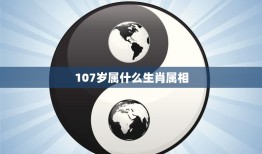 107岁属什么生肖属相(解密百岁老人的生肖之谜)