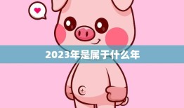 2023年是属于什么年(探究属猪的黄历年份与十二生肖的传说)