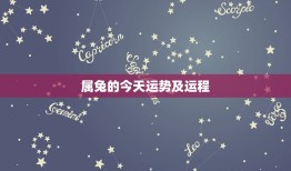 属兔的今日运势及运程(幸运之星闪耀财运亨通)