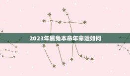 2023年属兔本命年命运如何(详解属兔人的运势走向)