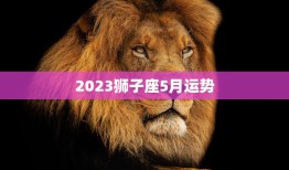 2023狮子座5月运势(狮子座在五月将迎来财运亨通的好时机)