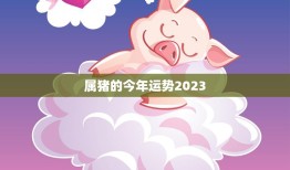 属猪的今年运势2023(猪年大吉财运亨通)