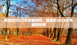 属猪的2023年有偏财吗，属猪的2023年有偏财吗男