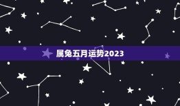 属兔五月运势2023(财运亨通事业顺利)