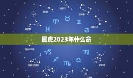 属虎2023年什么命(2023年属虎人的运势如何)