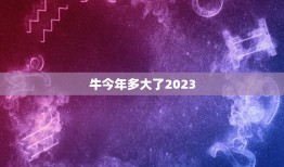 牛今年多大了2023(探寻中国传统农历与现代时间的交汇点)