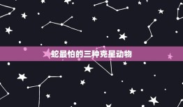 蛇最怕的三种克星动物(介绍哪些动物能让蛇闻风丧胆)