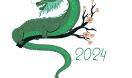 2024年属龙的幸运色和忌讳（2024年属龙色彩指南）