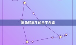 属兔和属牛的合不合婚(星座配对分析)