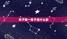 双子座一辈子是什么命(介绍聪明伶俐的多面手)