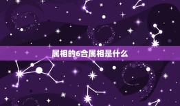 属相的6合属相是什么(介绍相生相克十二生肖的奥秘)