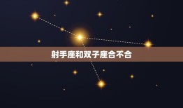 射手座和双子座合不合(星座配对分析)