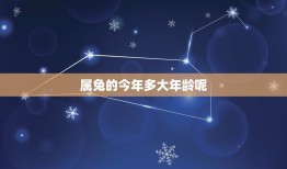 属兔的今年多大年龄呢(你知道吗)