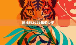 属虎的2023年多少岁(猛虎再现岁数如何计算)