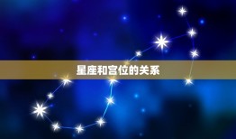 怎么看第几宫在哪个星座(星盘介绍宫位与星座的关系)