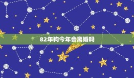 82年狗今年会离婚吗(介绍星座专家分析其婚姻状况)