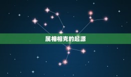 婚姻有属相相克之说吗(介绍属相相克的)