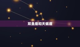 双鱼座跟哪个星座最配(匹配的星座组合)