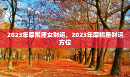 2023年摩羯座女财运，2023年摩羯座财运方位