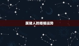 属猪今年婚姻1995(猪年婚姻运势大介绍)